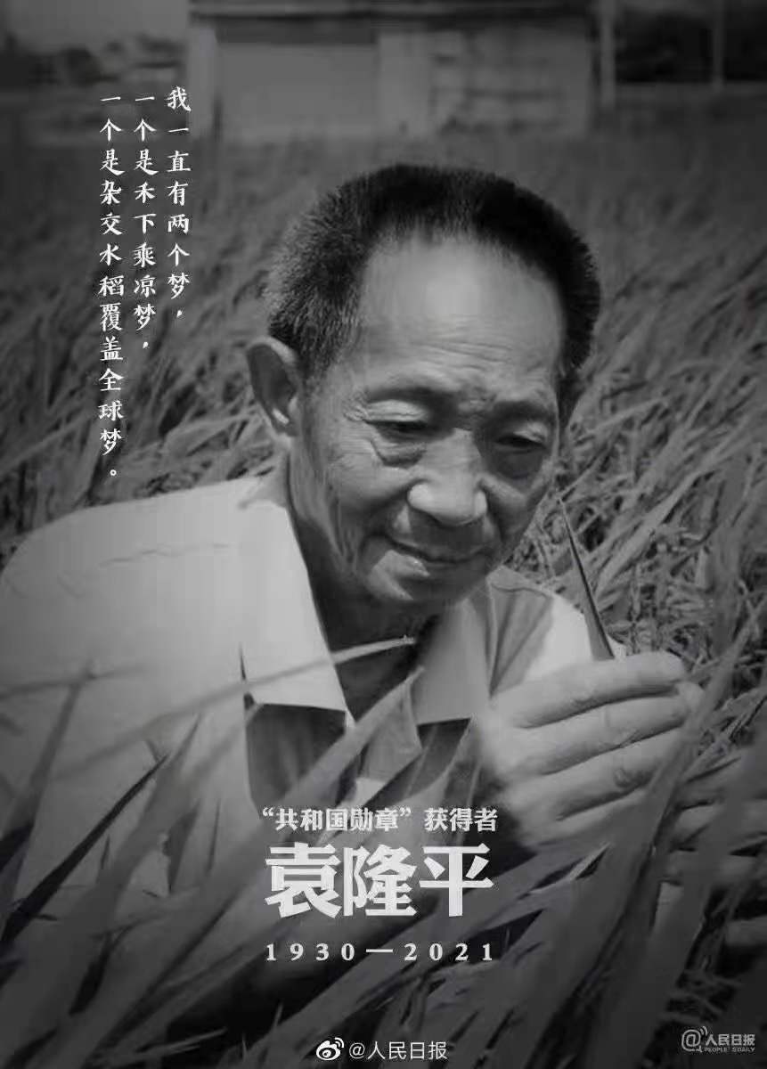 緬懷，國(guó)之脊梁——雜交水稻之父
